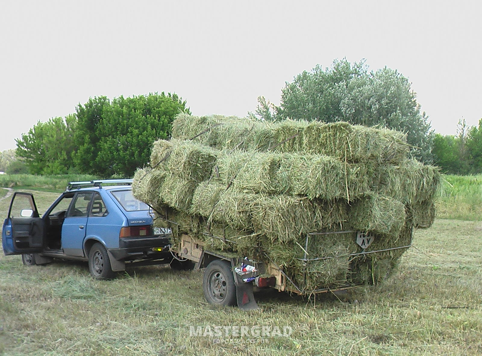 фото сено в тюках квадратных