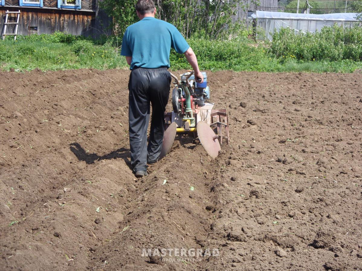 Глубина вспашки плугом. Посадка картофеля мотоблоком. Посадка картофеля культиватором. Сажать картошку мотоблоком. Мотоблок посадка картофеля.